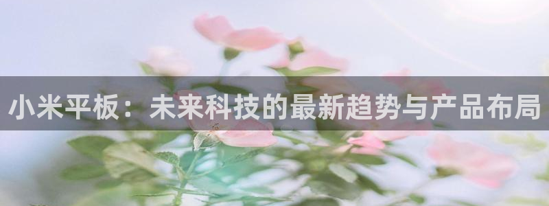 南宫NG加拿大在线预测：小米平板：未来科技的最新趋势与产品布局