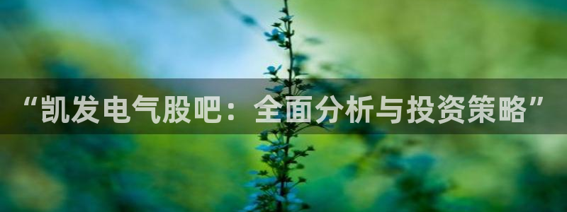 南宫NG体育官网登录：“凯发电气股吧：全面分析与投资策略”