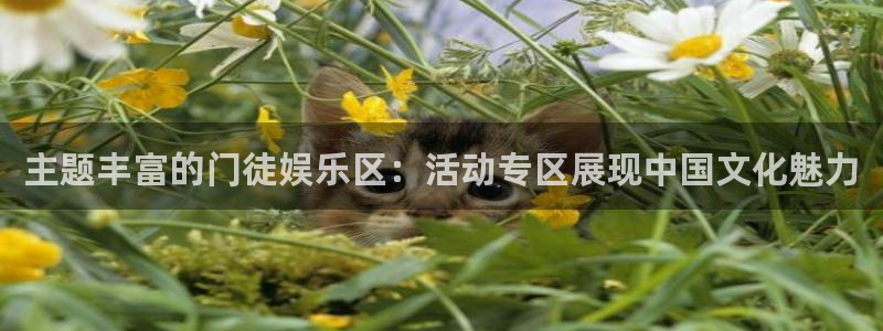 南宫NG注册网页版：主题丰富的门徒娱乐区：活动专区展现中国文化魅力
