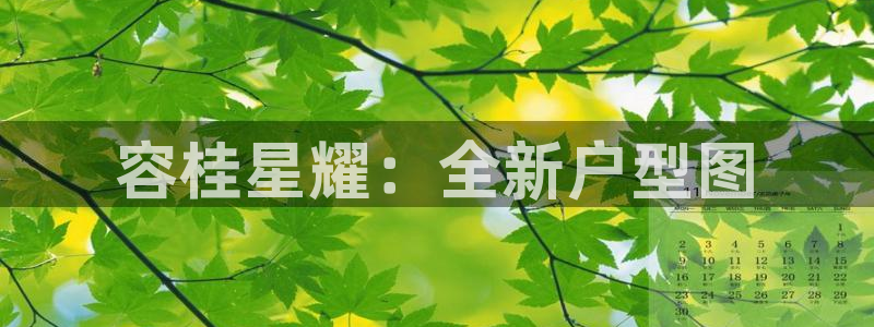 南宫NG股份：容桂星耀：全新户型图