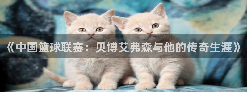 南宫NG体育网页版入口：《中国篮球联赛：贝博艾弗森与他的传奇生涯》