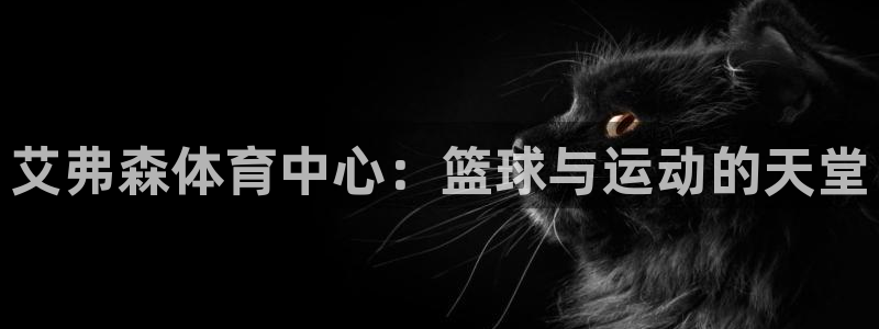 南宫NG平台总代理：艾弗森体育中心：篮球与运动的天堂