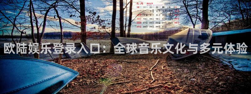 南宫NG体育4：欧陆娱乐登录入口：全球音乐文化与多元体验