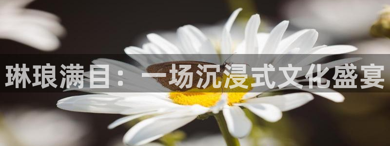 南宫NG在线下载：琳琅满目：一场沉浸式文化盛宴