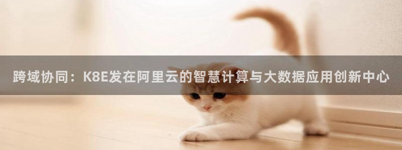 南宫NG怎么下载：跨域协同：K8E发在阿里云的智慧计算与大数据应用创新中心