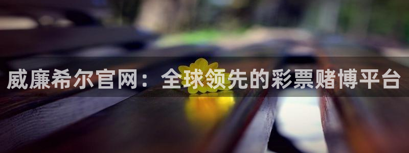 南宫NG平台：威廉希尔官网：全球领先的彩票赌博平台
