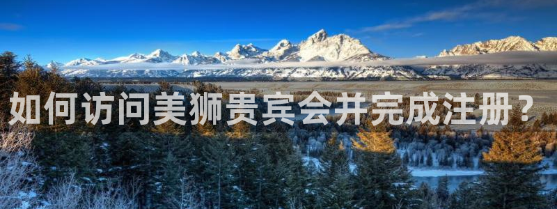 南宫NG是大平台吗：如何访问美狮贵宾会并完成注册？