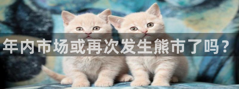南宫NG手机客户端下载安装：年内市场或再次发生熊市了吗？