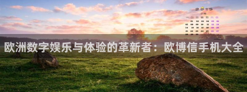 南宫NG集团官网：欧洲数字娱乐与体验的革新者：欧博信手机大全