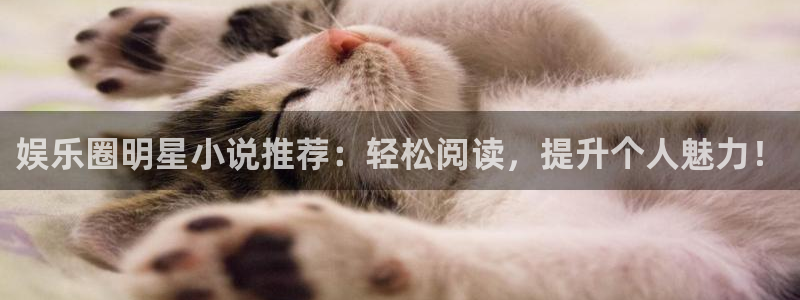 南宫NG可靠吗：娱乐圈明星小说推荐：轻松阅读，提升个人魅力！