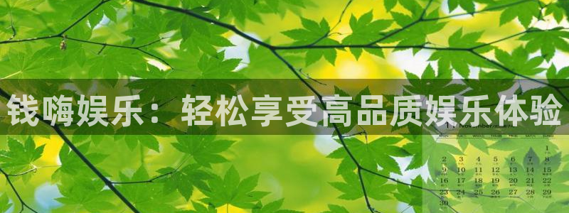 南宫NG手机客户端下载安装：钱嗨娱乐：轻松享受高品质娱乐体验