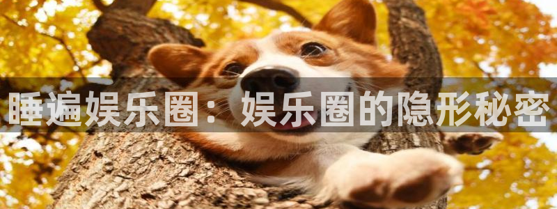 南宫NG能源：睡遍娱乐圈：娱乐圈的隐形秘密