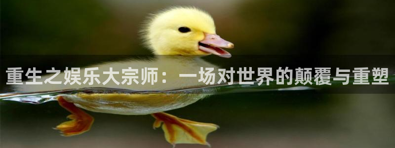 南宫NG平台招商：重生之娱乐大宗师：一场对世界的颠覆与重塑