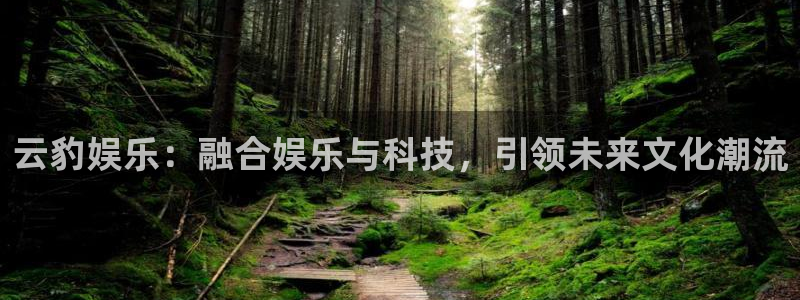 南宫NG能源：云豹娱乐：融合娱乐与科技，引领未来文化潮流