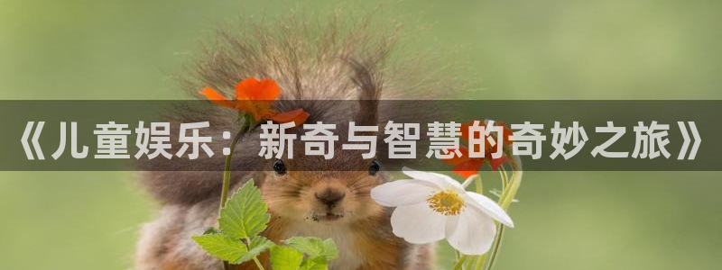 南宫NGf凯捷注册：《儿童娱乐：新奇与智慧的奇妙之旅》