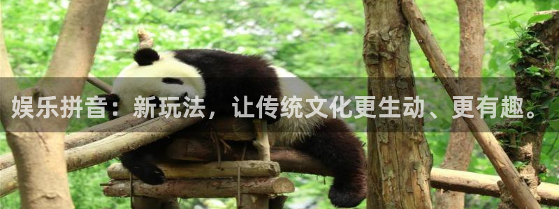 南宫NG体育2官网入口：娱乐拼音：新玩法，让传统文化更生动、更有趣。