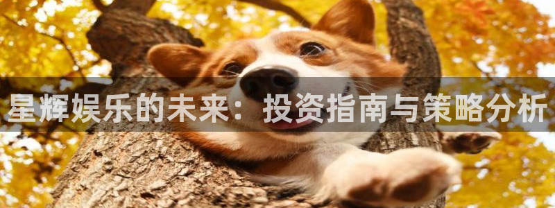 南宫NG下载官网入口在哪：星辉娱乐的未来：投资指南与策略分析