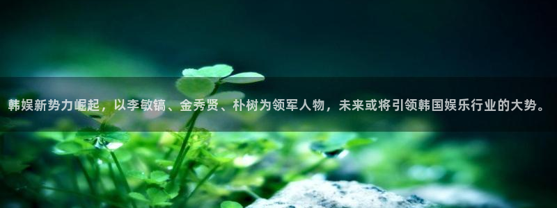南宫NG体育平台开号链接：韩娱新势力崛起，以李敏镐、金秀贤、朴树为领军人物，未来
