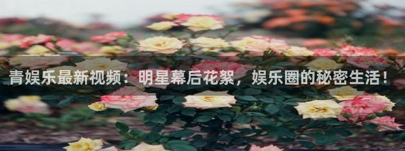 南宫NG怎么下载：青娱乐最新视频：明星幕后花絮，娱乐圈的秘密生活！