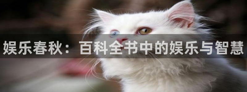 南宫NG平台招商：娱乐春秋：百科全书中的娱乐与智慧