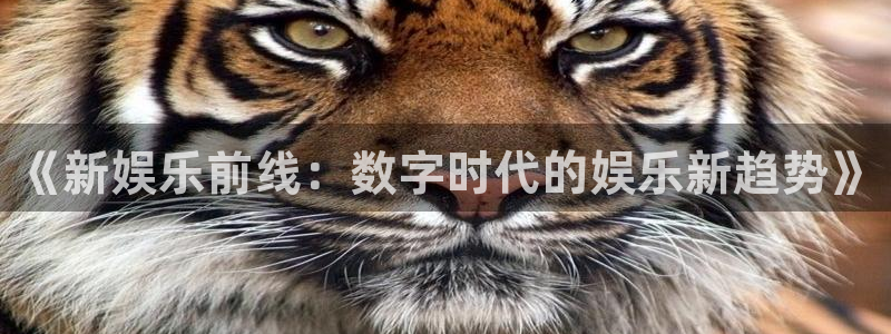 南宫NGvk：《新娱乐前线：数字时代的娱乐新趋势》