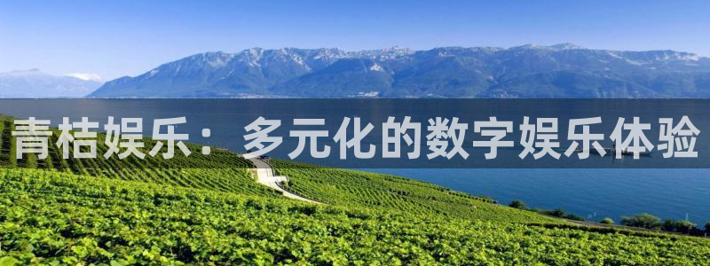 南宫NG能源：青桔娱乐：多元化的数字娱乐体验