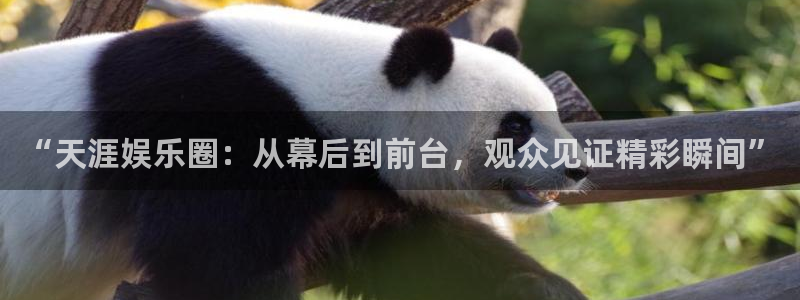 南宫NGapp注册地址：“天涯娱乐圈：从幕后到前台，观众见证精彩瞬间”