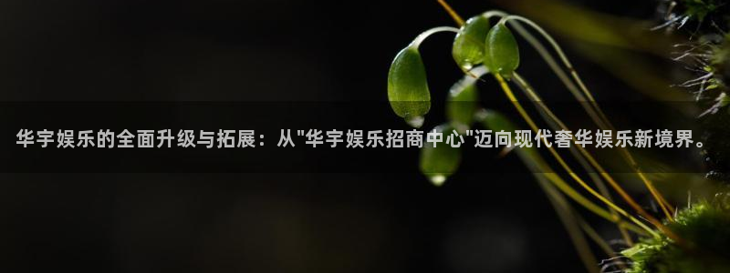 南宫NG平台注册：华宇娱乐的全面升级与拓展：从\
