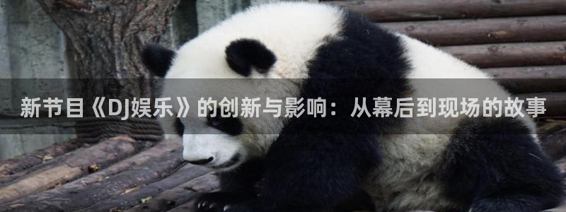 南宫NG3登陆：新节目《DJ娱乐》的创新与影响：从幕后到现场的故事