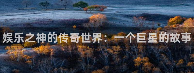 南宫NG平台登录入口：娱乐之神的传奇世界：一个巨星的故事