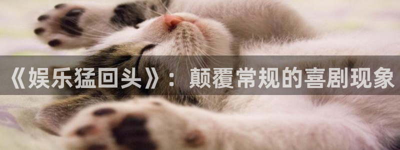 南宫NG是什么平台：《娱乐猛回头》：颠覆常规的喜剧现象